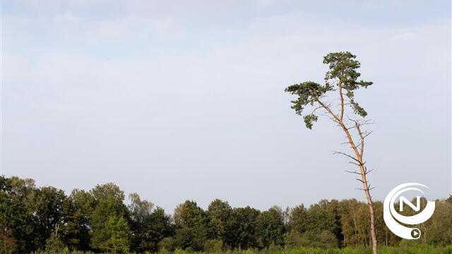 Stilte, rust en ruimte: meer en meer een plek op beleidsagenda’s op alle niveaus 