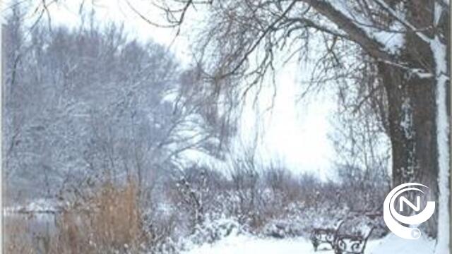 Winterwandeling in Nijlen 