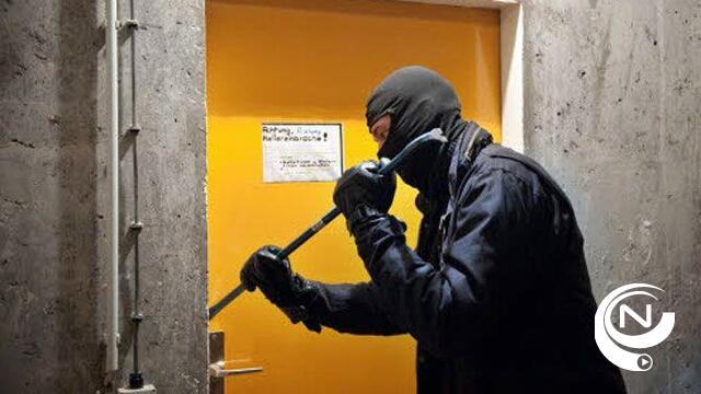 Criminaliteit in eerste helft 2013 met 7 procent gedaald