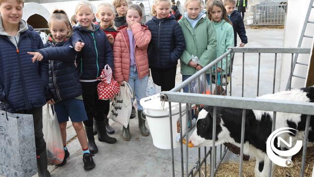 300 leerlingen uit 3e en 4e leerjaar op schooluitstap naar landbouwbedrijf in Mol
