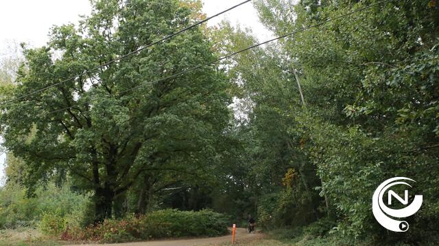 Vrederechter verwerpt overeenkomst tussen stad en verkavelaar De Roest