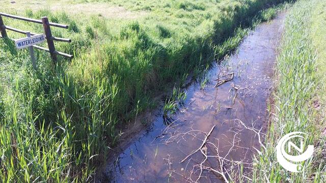 Rivier de Aa krijgt opnieuw kronkelend traject om fauna en flora te helpen: rivier wordt 250 meter langer