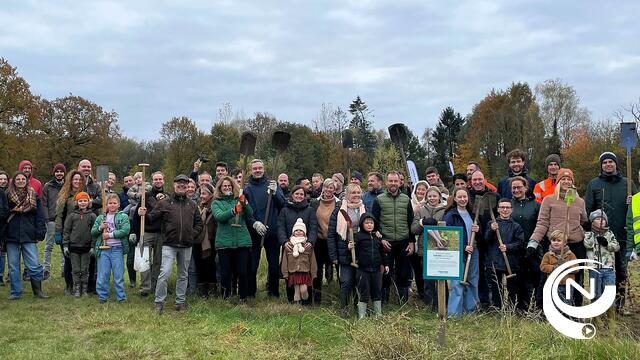 Aurubis medewerkers planten 2.000 jonge boompjes in Princebos (Turnhout) : "Groene zones in de stad intens belangrijk"