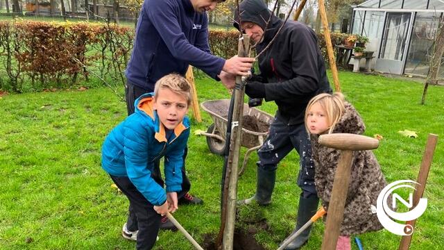Succesvolle 1001 bomencampagne in Herenthout