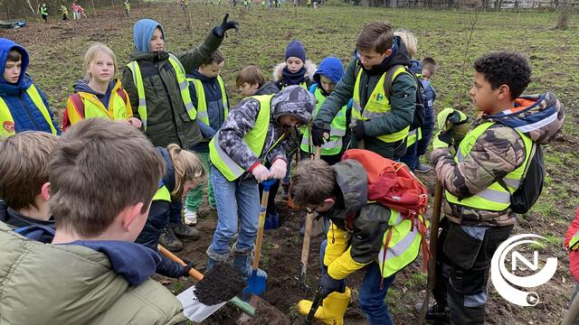 Natuurpunt Westerlo breidt natuurgebied Rothoek-Kwarekken uit met 2600 nieuwe bomen