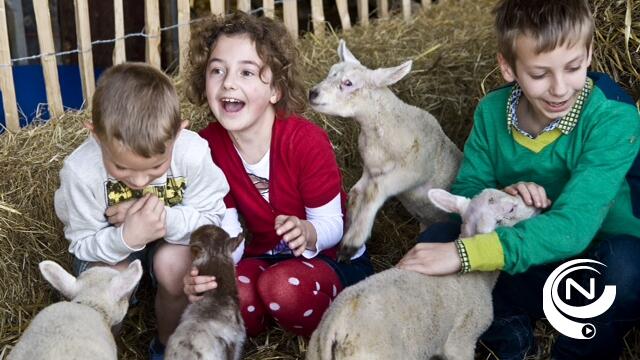 Lammetjesdag Natuurpunt 2026 @ Schapenstal Dijkbaan Vorselaar 