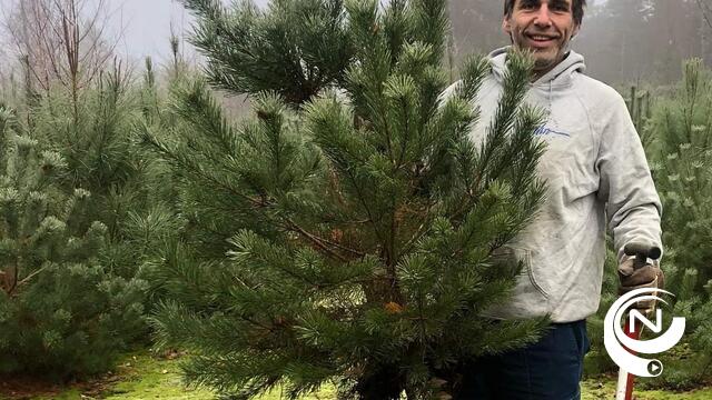 Kerstboomactie Natuurpunt @ Lavendelweg op 9-10/12 