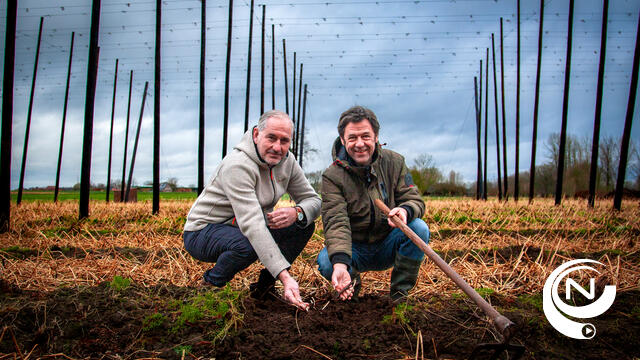 Brouwerij Palm samenwerkingsovereenkomst met vzw De Orde van de Groene Bel 