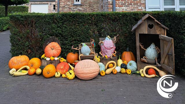 Pompoenmaand gaat van start met  pompoenwandeling