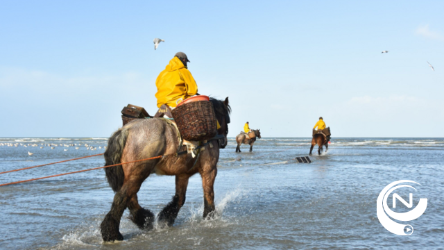 Tips4Trips Koksijde paardenvissers