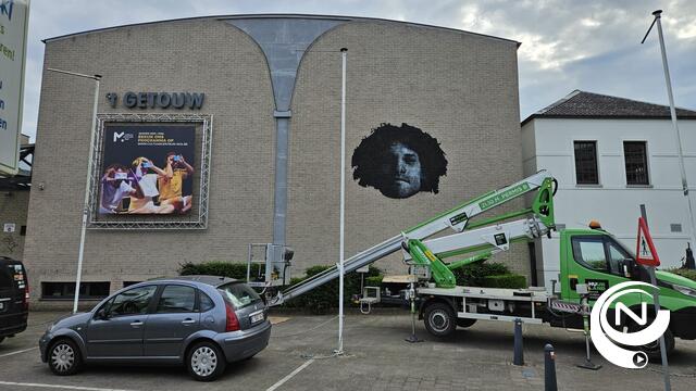 Gemeente Mol heeft moeite met verwijderen muurschildering van Wout Faes