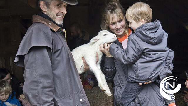 Lammetjesdag Natuurpunt : hoogste graad van tedere dierenliefde - extra foto's