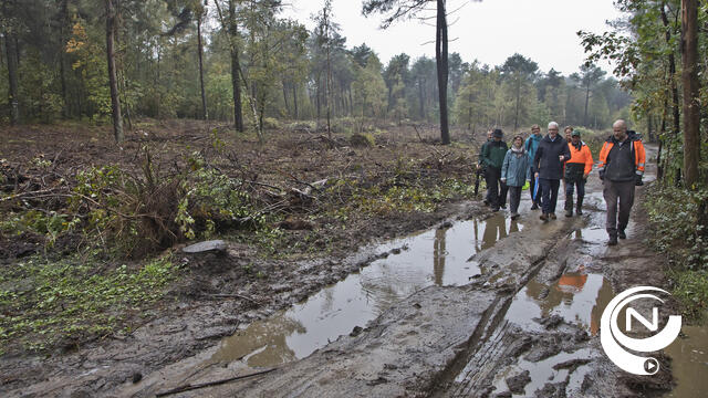 Bosgroep Kempen-Noord en Regionaal Landschap Kleine en Grote Nete slaan de handen in mekaar : herstellen 8 ha op Kempense Heuvelrug Herentals