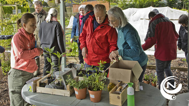 De Tuinfluiter met fijne planten- en zadenruilbeurs 