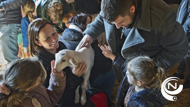 Lammetjesdag Schapenstal overrompeling : hoogste graad van tedere dierenliefde - extra foto's