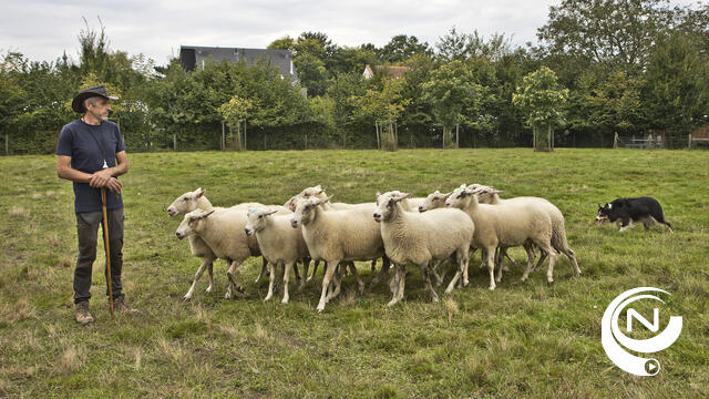 Toeren om te Loeren trekt de massa in Vorselaar
