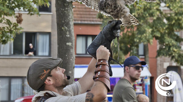 Film 'Onze Natuur' en opvallende roofvogelshow valkerij Harristo : Vorselaar bruist - extra foto's