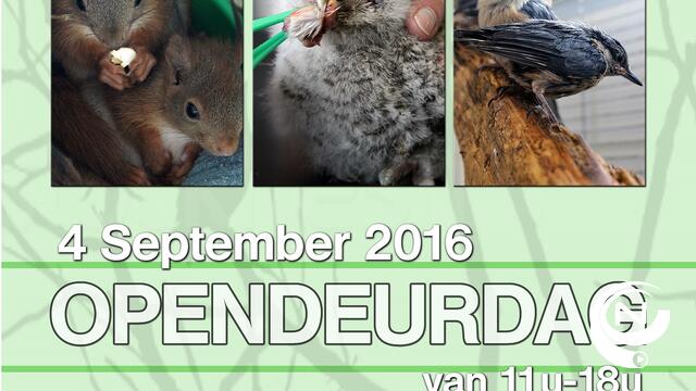 Opendeur Opvangcentrum Vogels en Wilde Dieren Neteland
