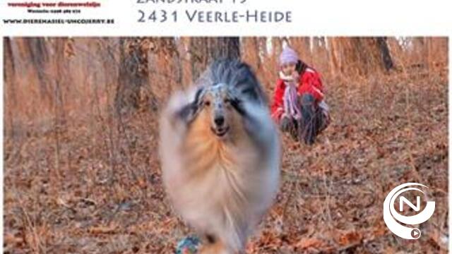  Kom op zondag 12/10/2014 wandelen t.v.v. dierenasiel Unco-Jerry uit Westerlo.
