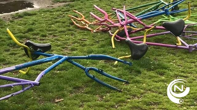 Agnes Janssens : 'Vandalen viseren kunstzinnige fietsen, iets kapotslaan in het geniep is zo achterlijk eenvoudig'