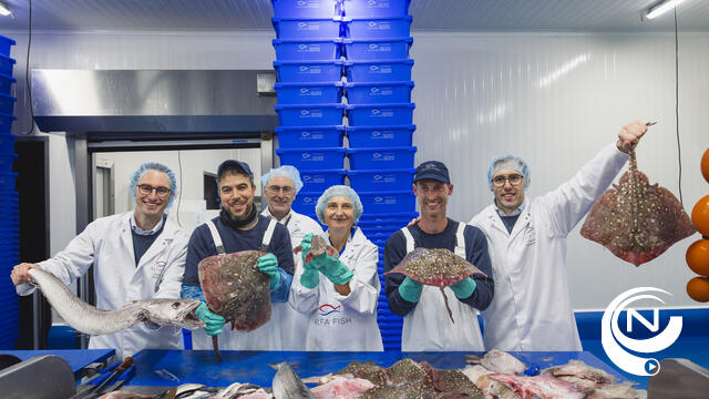 Minister Crevits fileert Noordzeevis bij Alfa Fish Brecht : “Zulke ondernemingen helpen mee om onze Vlaamse visserij sterk, innovatief en toekomstgericht te houden”