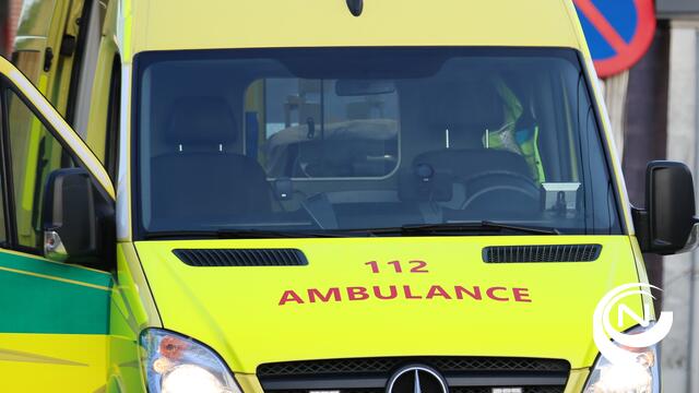 Drama : 19-jarige bestuurder uit Eindhout overleeft klap tegen duiker niet