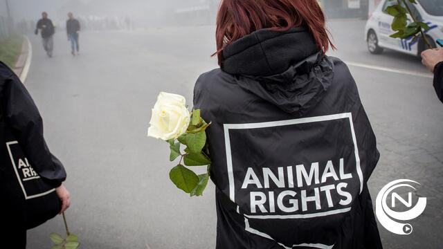 Minister Weyts laat omstreden slachthuis Izegem sluiten - (schokkende beelden)