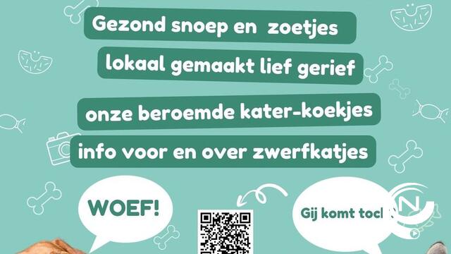 Succesvolle HZP Herentalse Zwerfpoezen vzw ♥️ op braderij Herentals 
