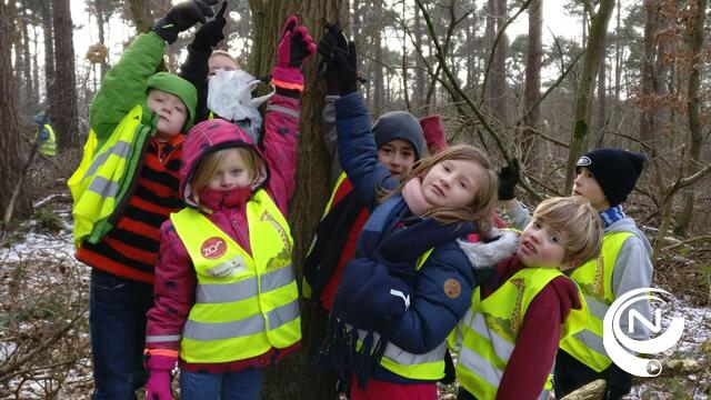 Leerlingen basisschool Arkades bouwen nestkastjes voor de vogels