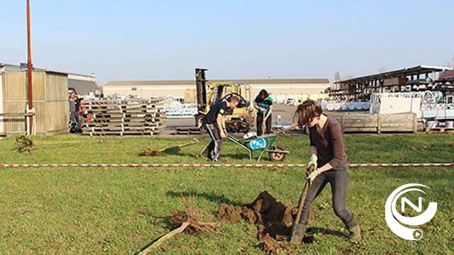Bedrijf schakelt eigen werknemers in om bedrijventerrein te vergroenen 