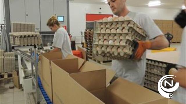 Voka : Belgabroed eerste genomineerde Award Excellente Onderneming