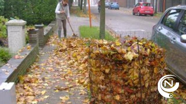 'N-VA Herentals : meer bladkorven, tegen verblijfsbelasting en taks op lokale zelfstandige bankkantoren'