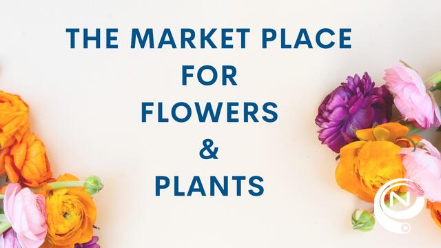 Belgische bloemenveiling, bloemenkwekers en floristen zetten actie op voor slachtoffers aardbevingen 