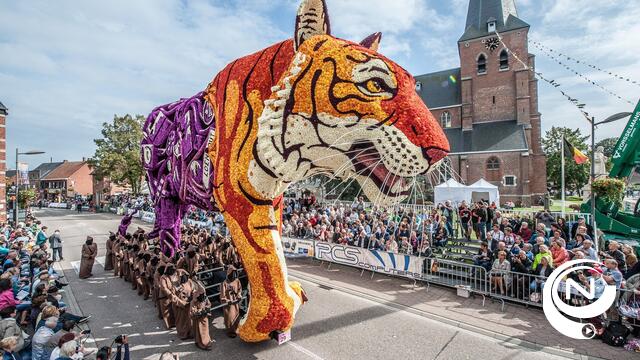 Bloemencorso "light" in Loenhout zonder grootste praalwagens en zonder tribunes