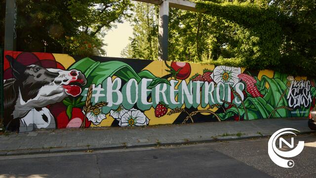 Levensgrote muurschilderingen als ode aan de landbouw 