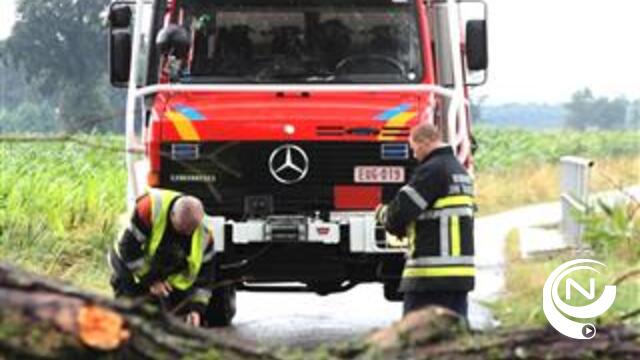 Onweer : omgewaaide bomen in Heultjens Kasterlee