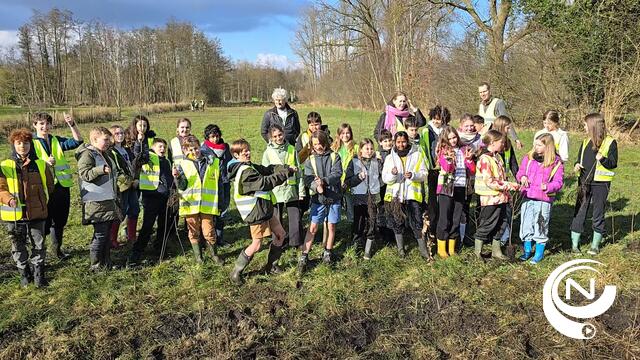 Molse schoolkinderen planten 1.000 bomen  met steun van Rotary Mol 