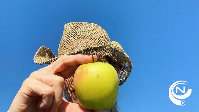 Start-up laat iedereen groenten en fruit schenken aan hulpverleners