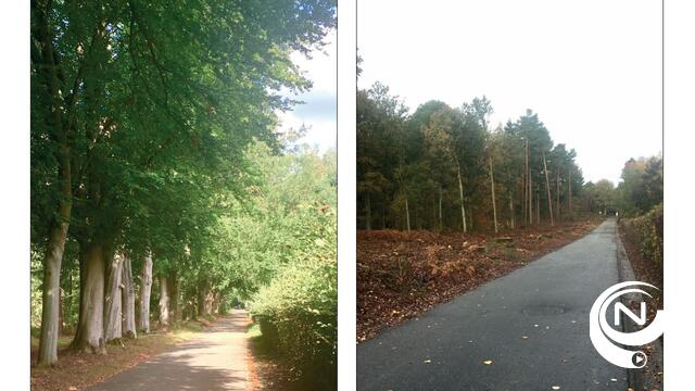 Ook de natuur lijdt onder de tijd... "Hallowe(g)en"