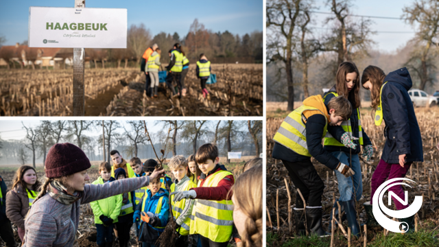 74.306 geplante bomen en struiken houden mens én bos gezond