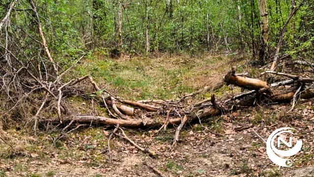 'Opgeruimd staat netjes' :  onderzoek naar sluikstort in Herentalse bossen aan Heistraat 