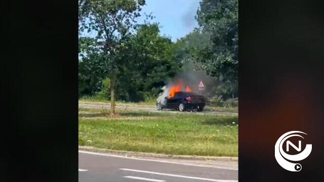 Bestuurder vlucht nadat auto vuur vat op Aarschotseweg : politie onderzoekt vreemd voorval langs ANPR-cameranetwerk