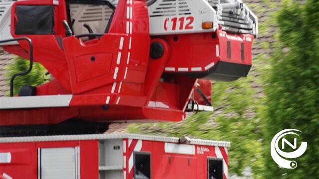 Brand vernielt 2 tuinhuizen in Lille 