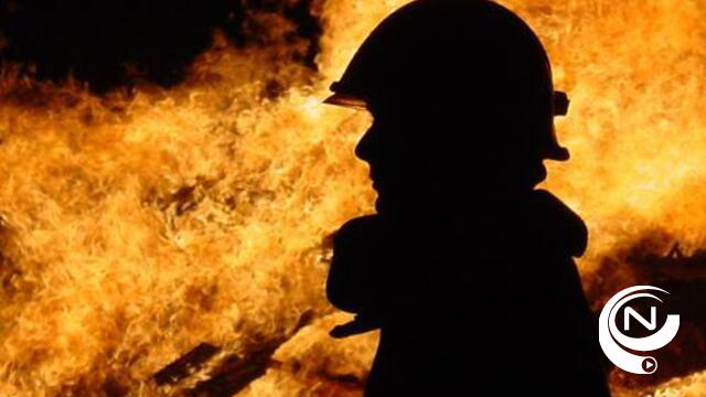 1.600 varkens dood bij stalbrand 