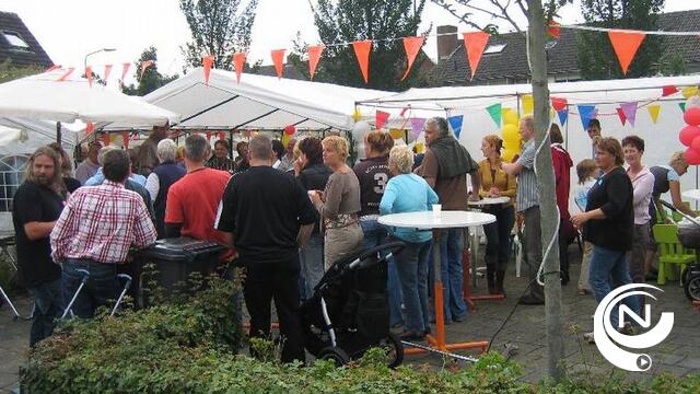 Nijlen: Welke subsidies zijn er voor buurtfeesten?