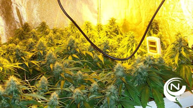 Politie Neteland neemt grote hoeveelheid drugs in beslag in Herenthout