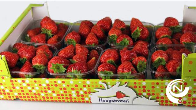 Nieuwe verpakking voor Hoogstraten® doordragers