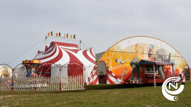 Circus Pipo komt naar Olen 