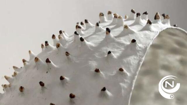 Tentoonstelling Origine - Guy Van Leemput
