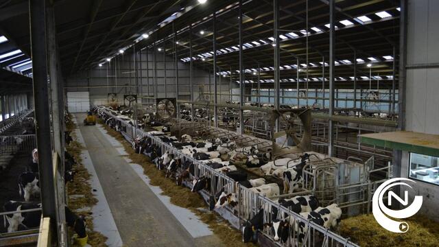 Opendeurdag en hoevefeesten bij melkveebedrijf Lodders te Bevel